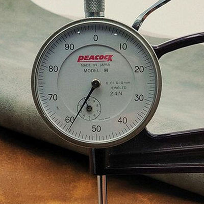 ผิวหนังผิวหนังผิวหนังผิวหนังผิวหนังผิวหนัง